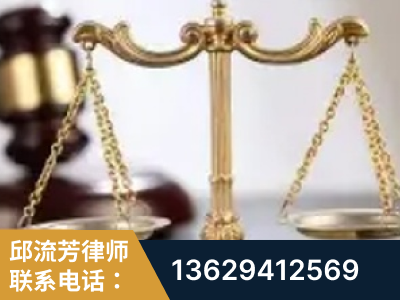 台山-委托诉讼代理人出庭